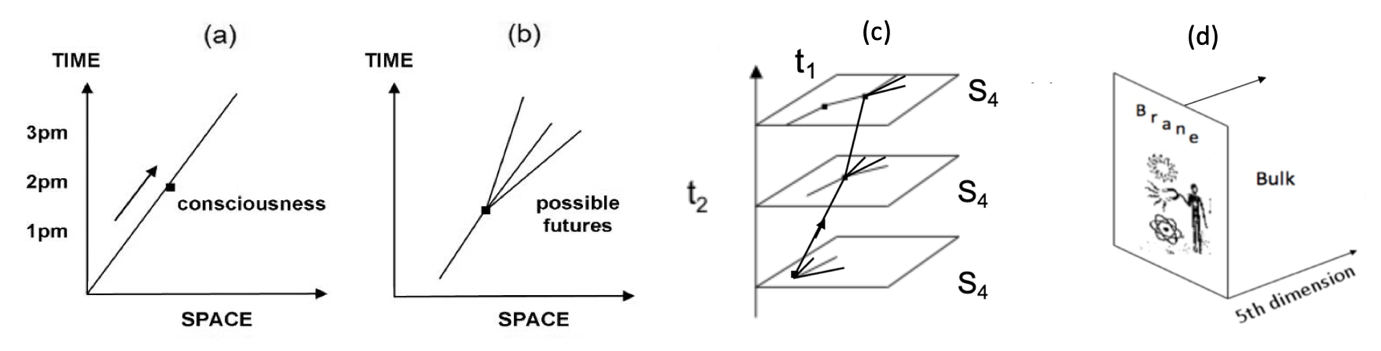 Carr fig 1