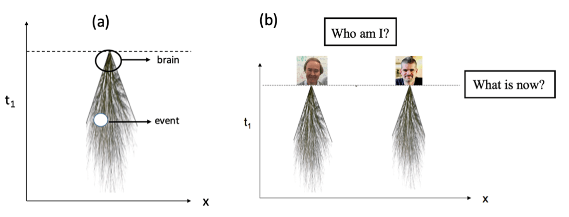 Carr fig 2