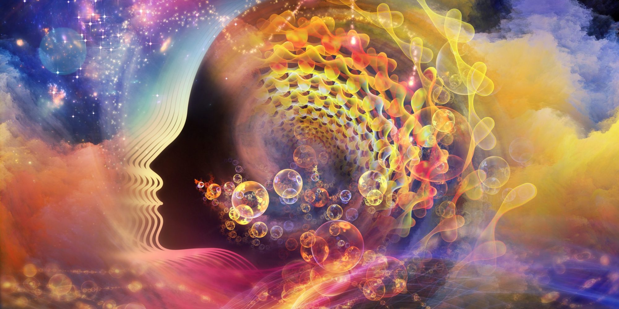 Readers reply: could rocks be conscious? Why are some things conscious and some not?, Life and style