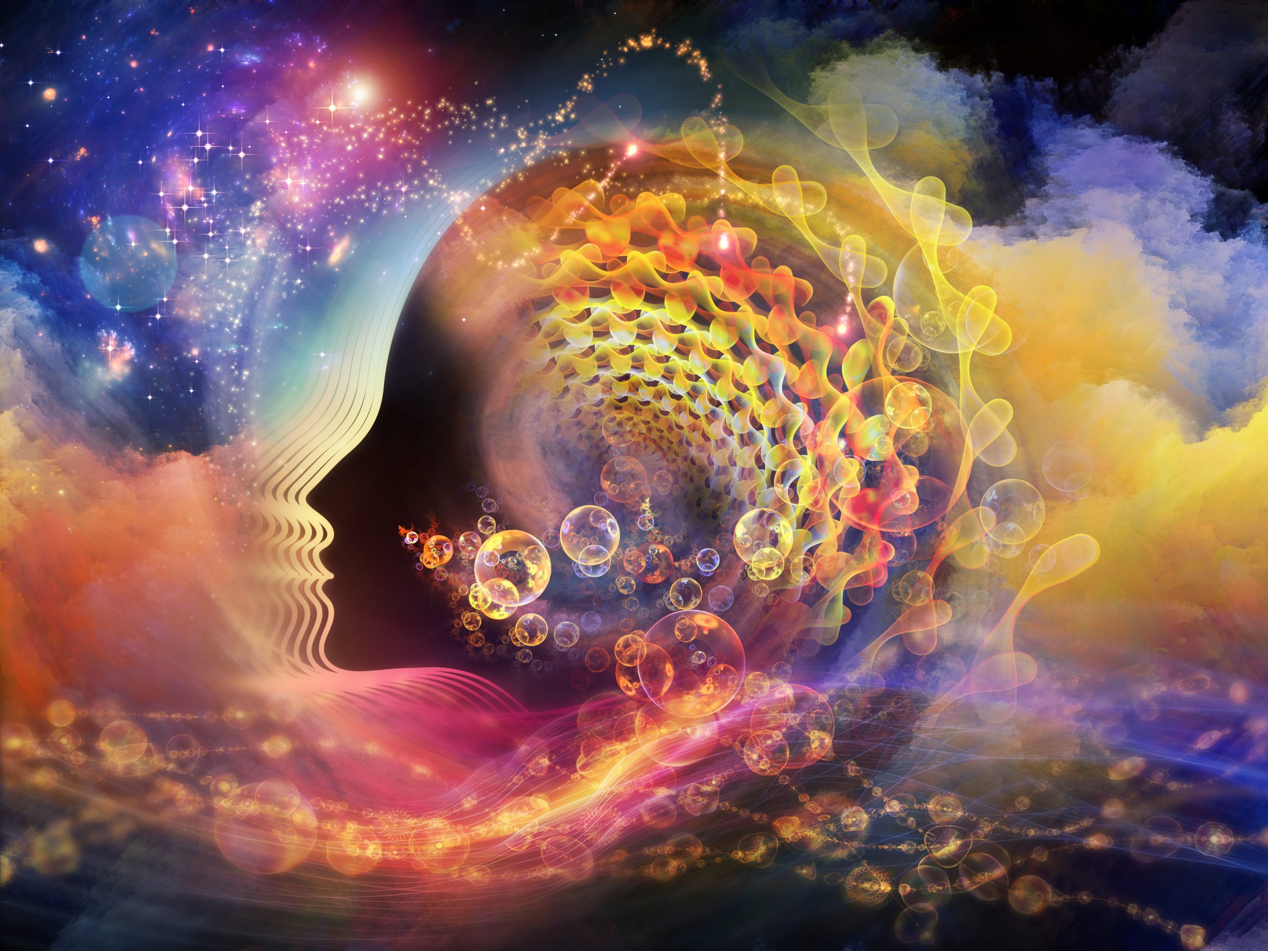 a brief tour of human consciousness