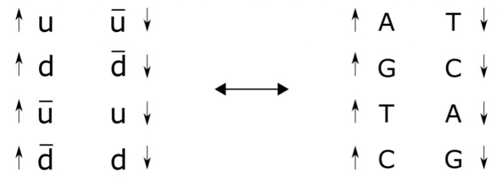 Picture 3 Picture 3