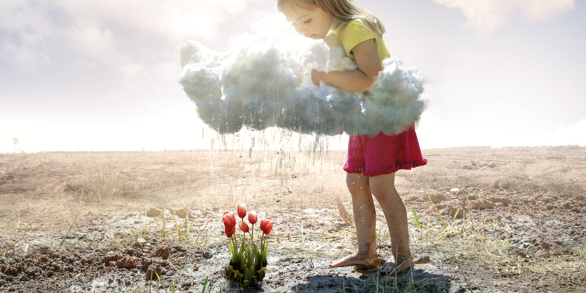 A little girl grabs a cloud and pours rain on some pink tulips