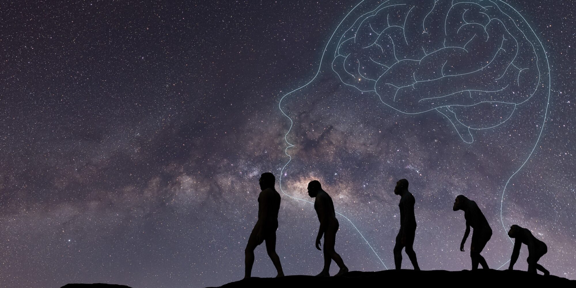 Human evolution, natural selection, from monkeys to modern humans. Anthropology and genetic heritage, against the background of the starry sky,milky way