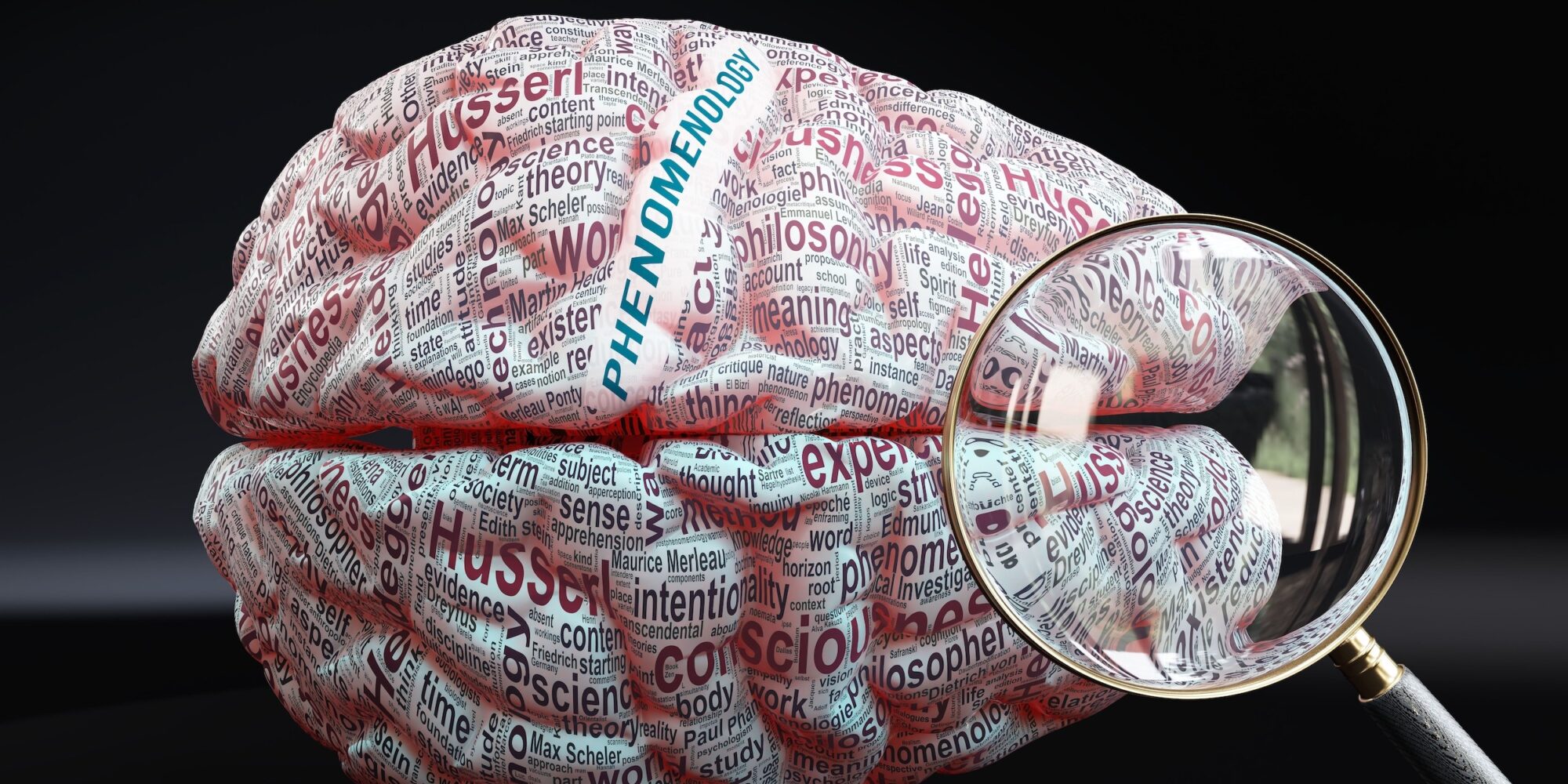 Phenomenology in human brain, a concept showing hundreds of crucial words related to Phenomenology projected onto a cortex to fully demonstrate broad extent of this topic,3d illustration