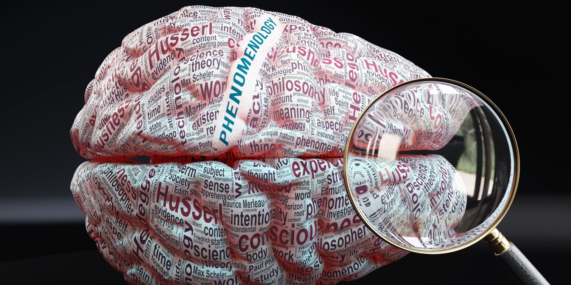 Phenomenology,In,Human,Brain,,A,Concept,Showing,Hundreds,Of,Crucial Phenomenology in human brain, a concept showing hundreds of crucial words related to Phenomenology projected onto a cortex to fully demonstrate broad extent of this topic,3d illustration