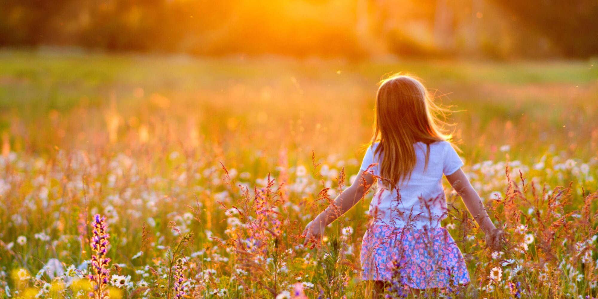 A,Little,Girl,Walks,In,The,Rays,Of,A,Sunset A,Little,Girl,Walks,In,The,Rays,Of,A,Sunset