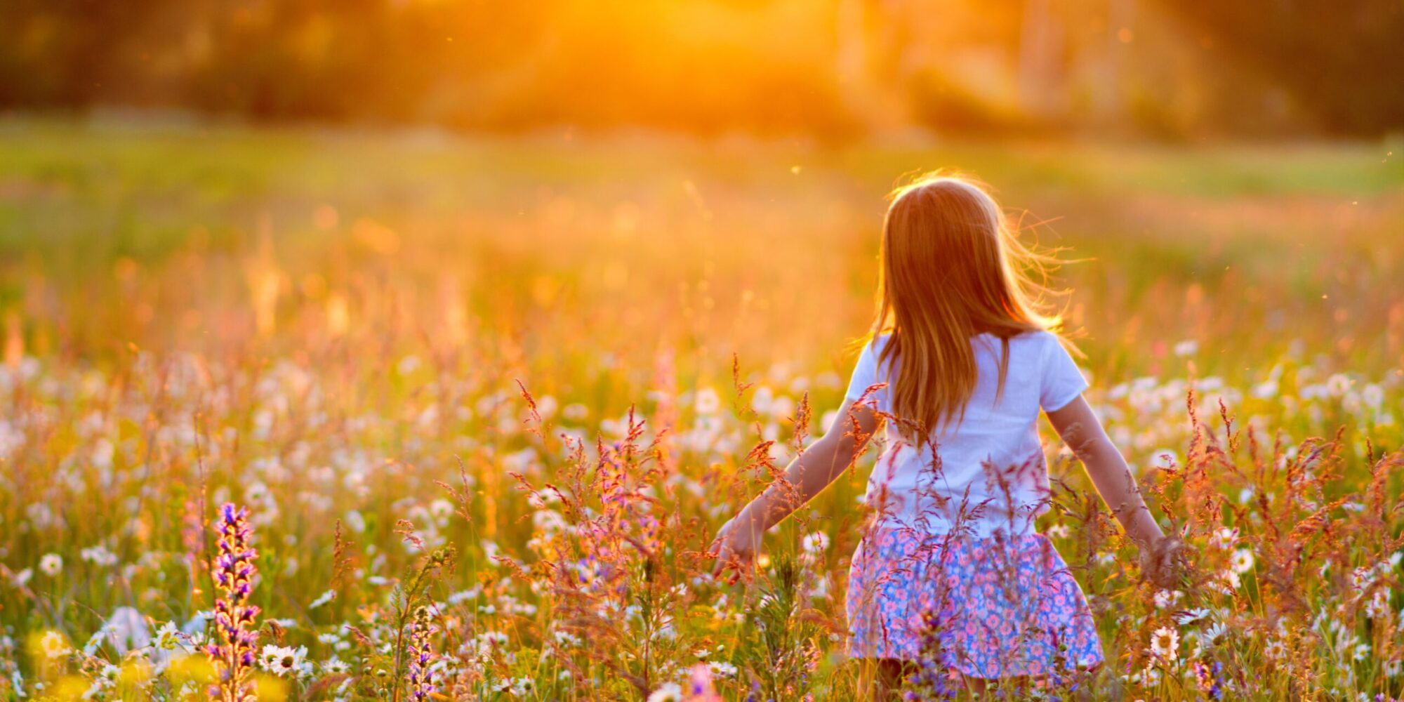 A,Little,Girl,Walks,In,The,Rays,Of,A,Sunset